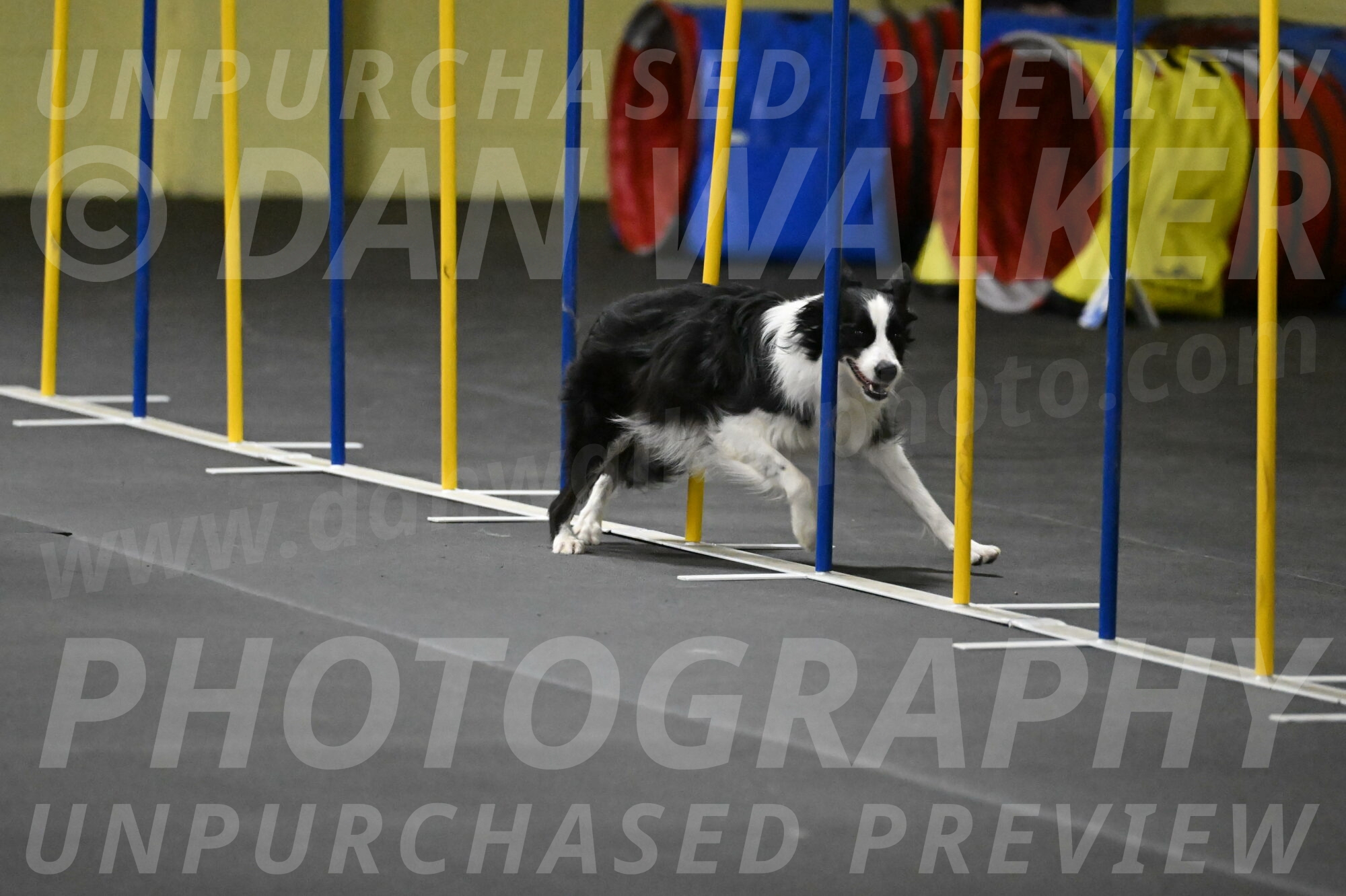 Annie-Solinger-02818