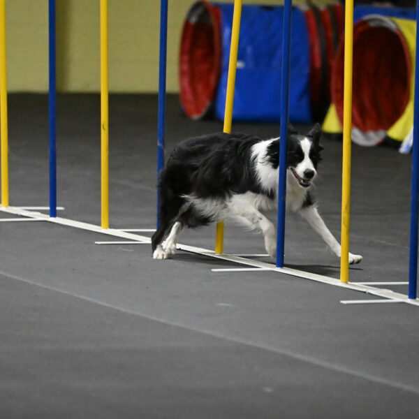 Annie-Solinger-02818