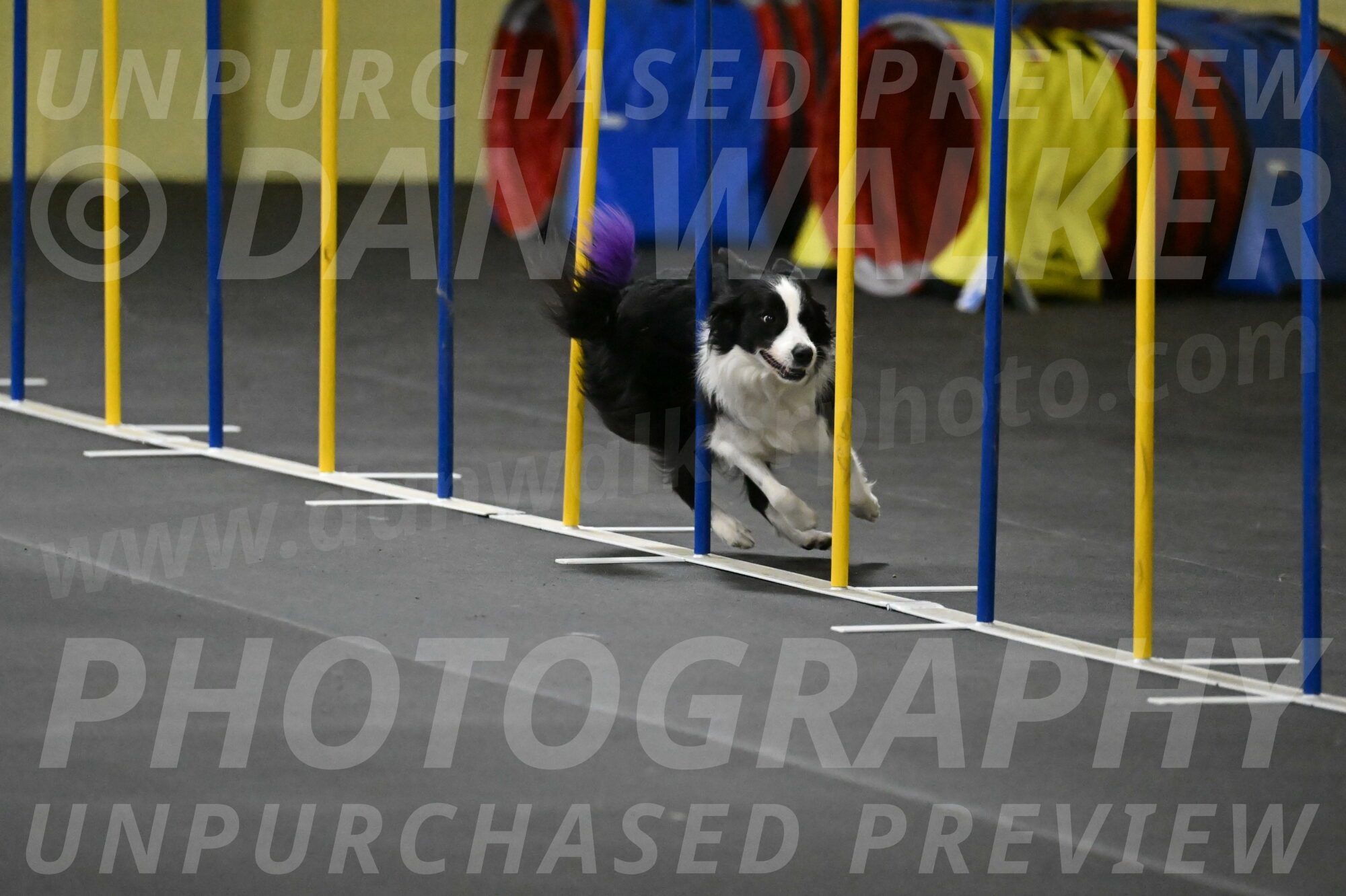 Annie-Solinger-02820