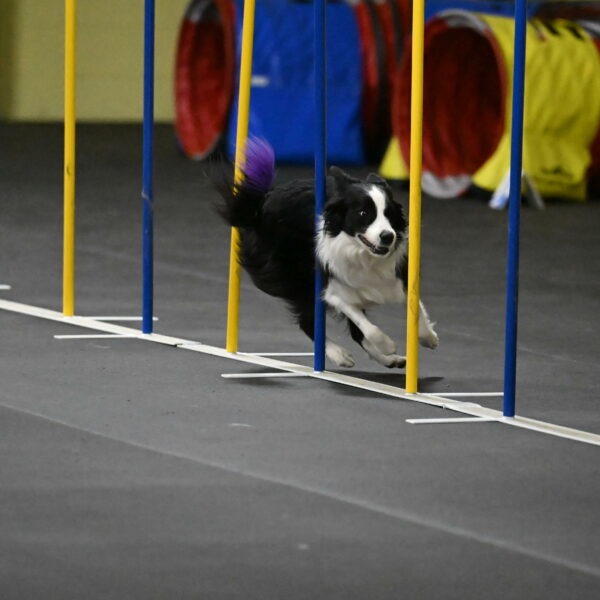 Annie-Solinger-02820