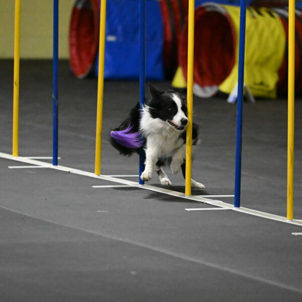 Annie-Solinger-02821