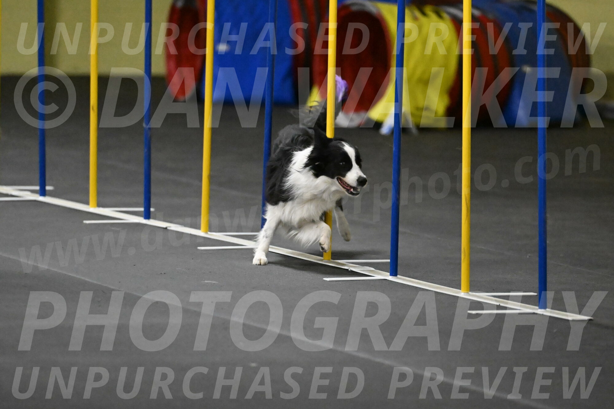 Annie-Solinger-02822