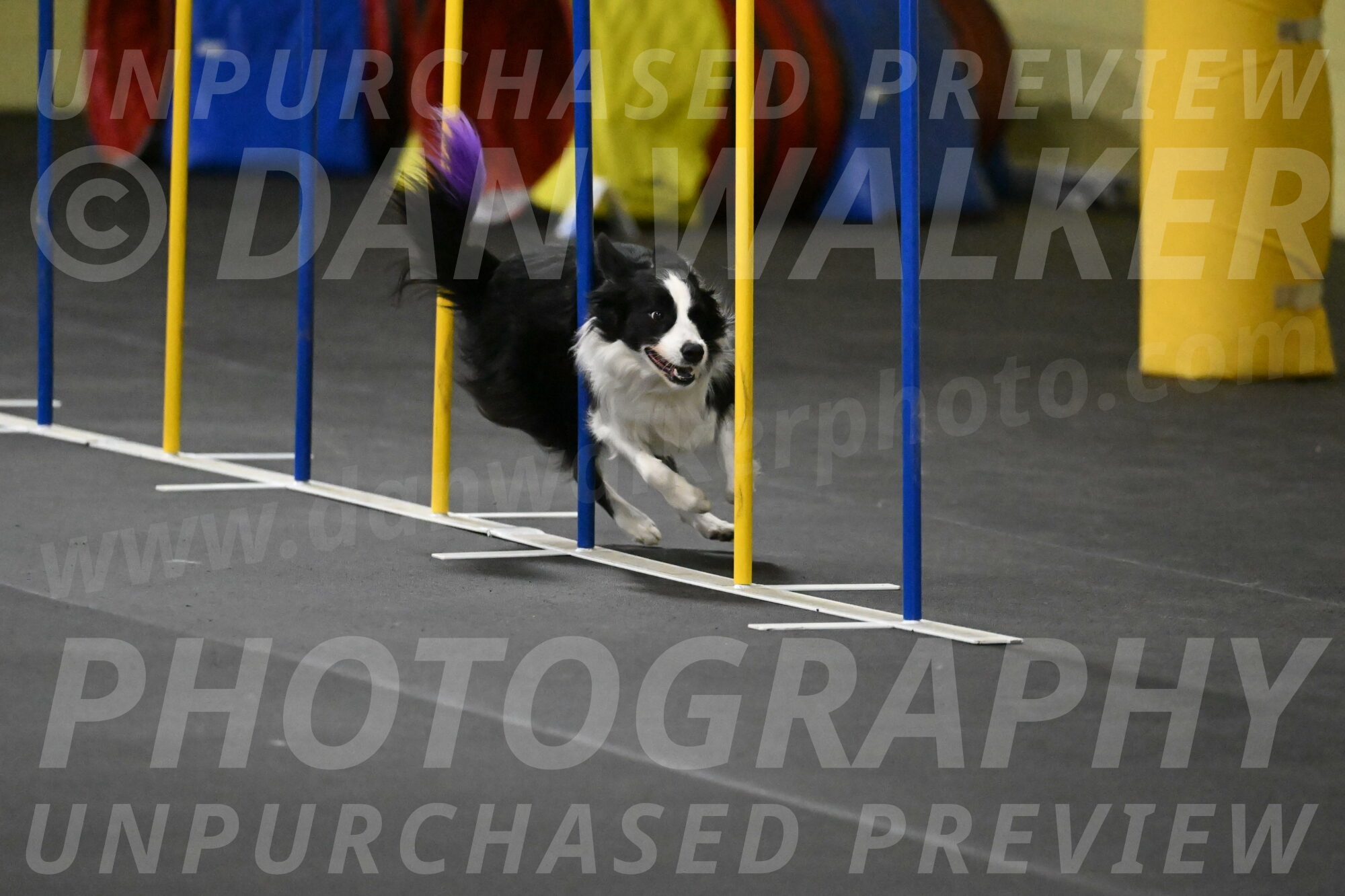 Annie-Solinger-02826