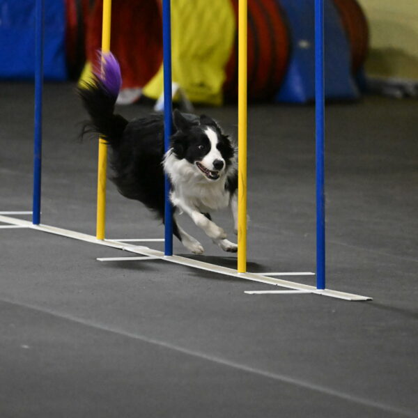 Annie-Solinger-02826