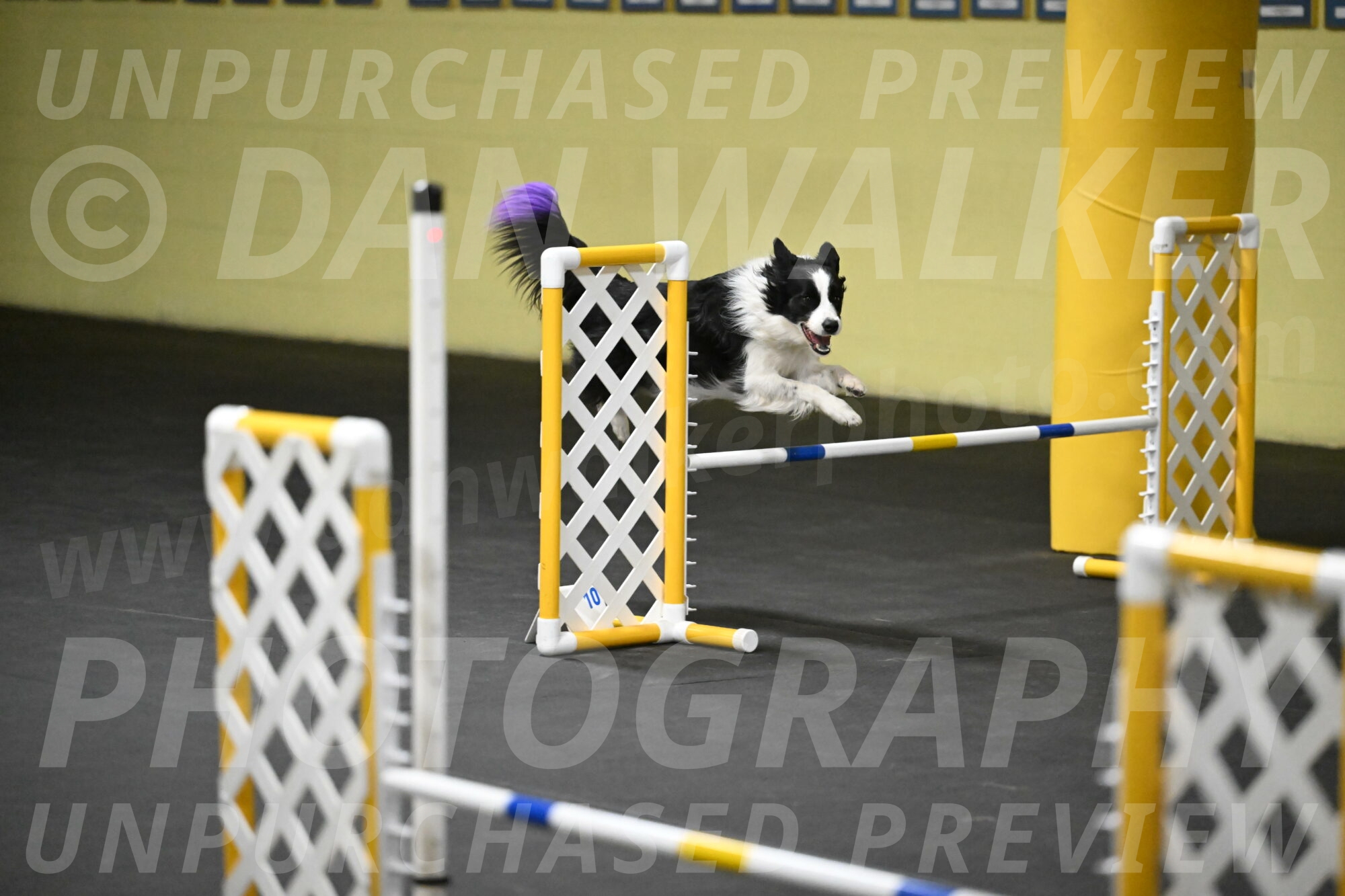 Annie-Solinger-02830