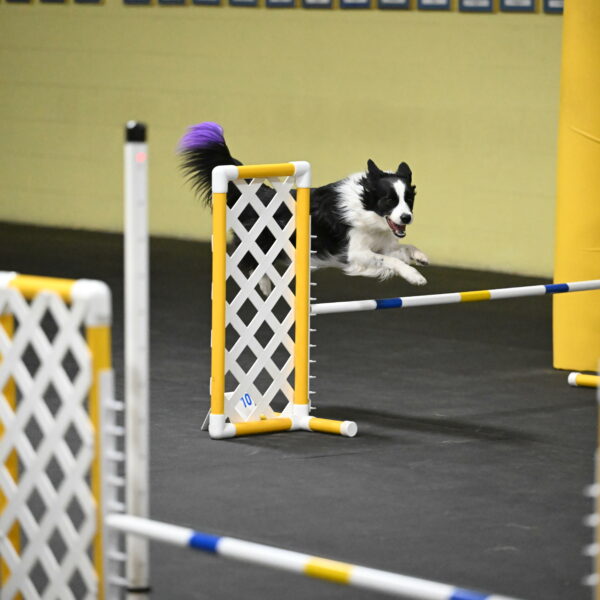 Annie-Solinger-02830