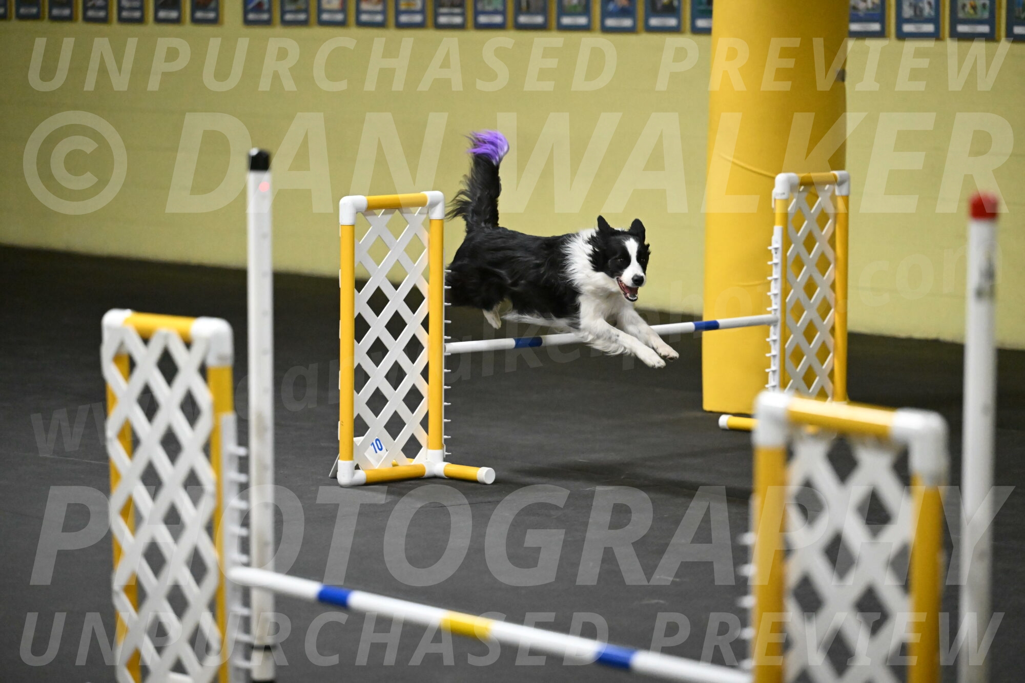 Annie-Solinger-02831