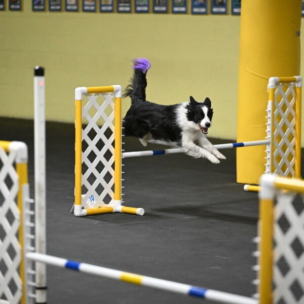 Annie-Solinger-02831