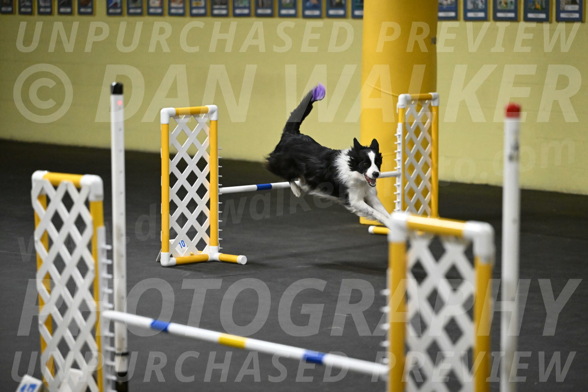 Annie-Solinger-02832