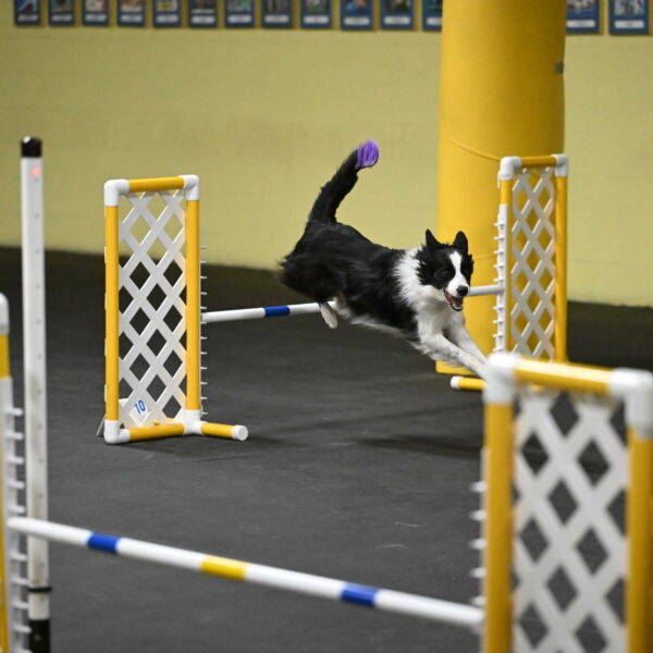 Annie-Solinger-02832