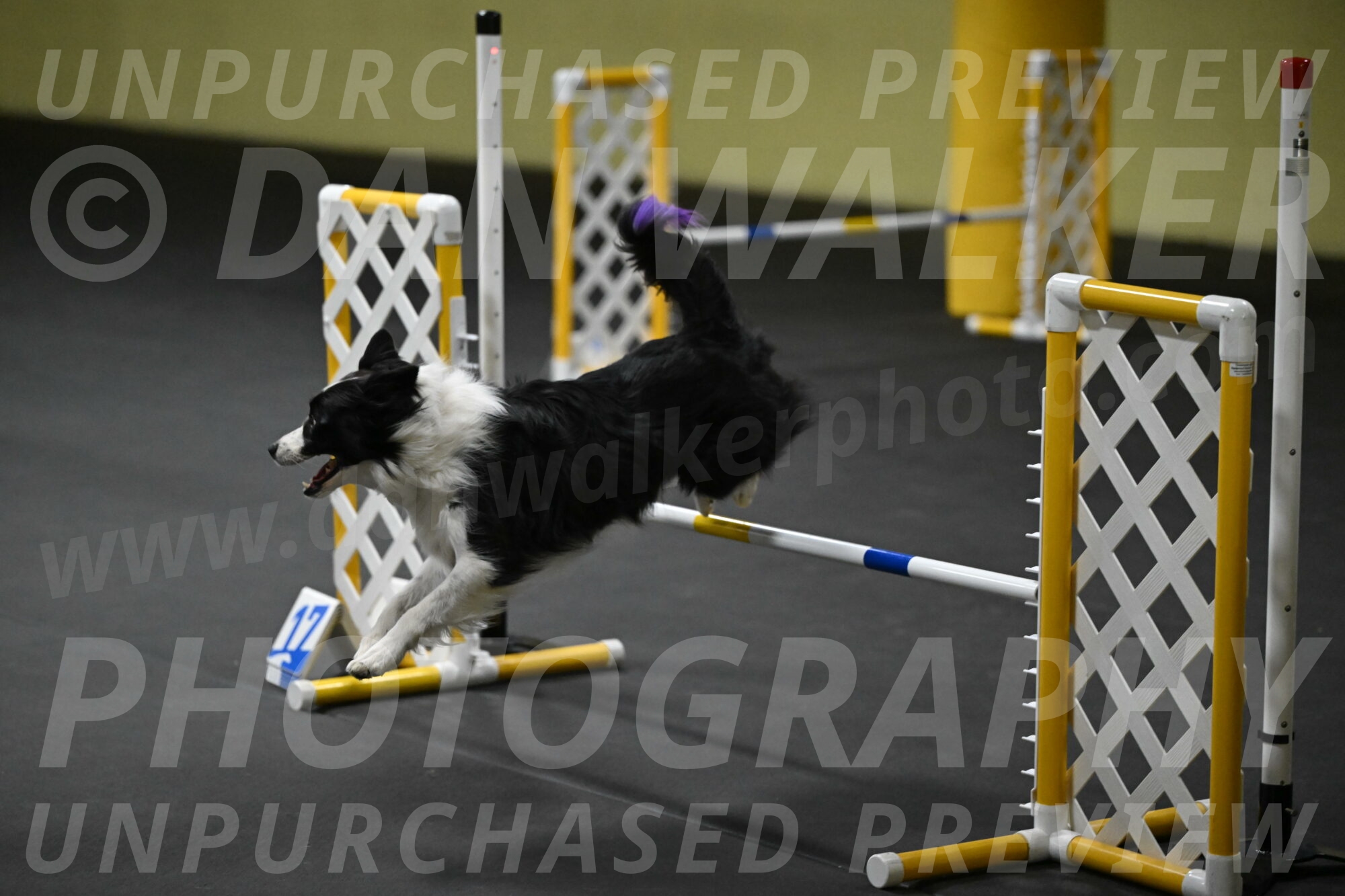 Annie-Solinger-02837