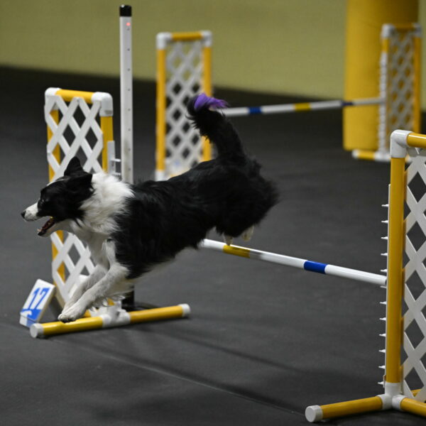 Annie-Solinger-02837