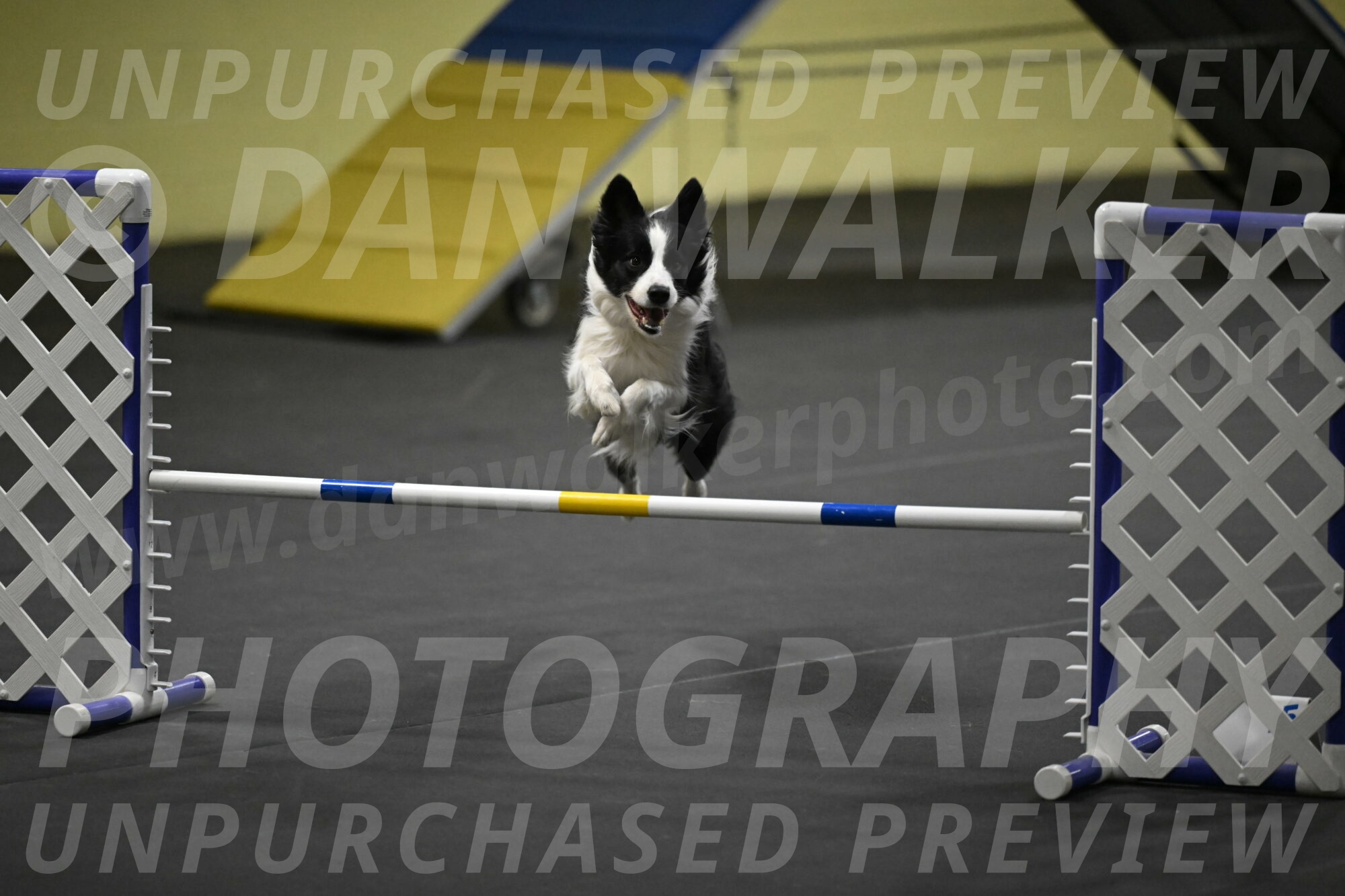 Annie-Solinger-02843