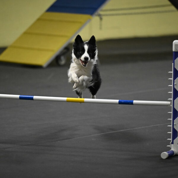 Annie-Solinger-02843