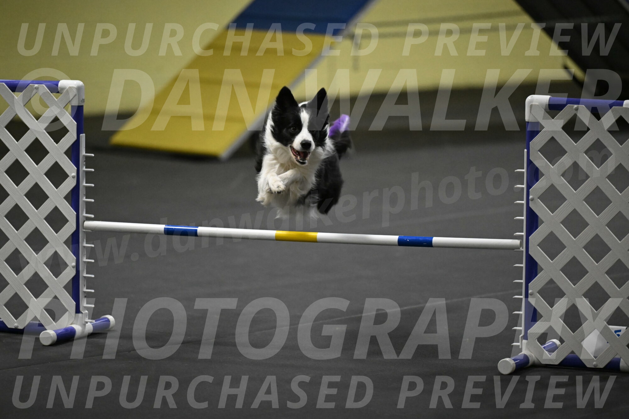 Annie-Solinger-02844