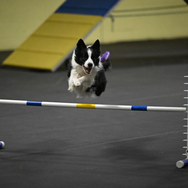 Annie-Solinger-02844