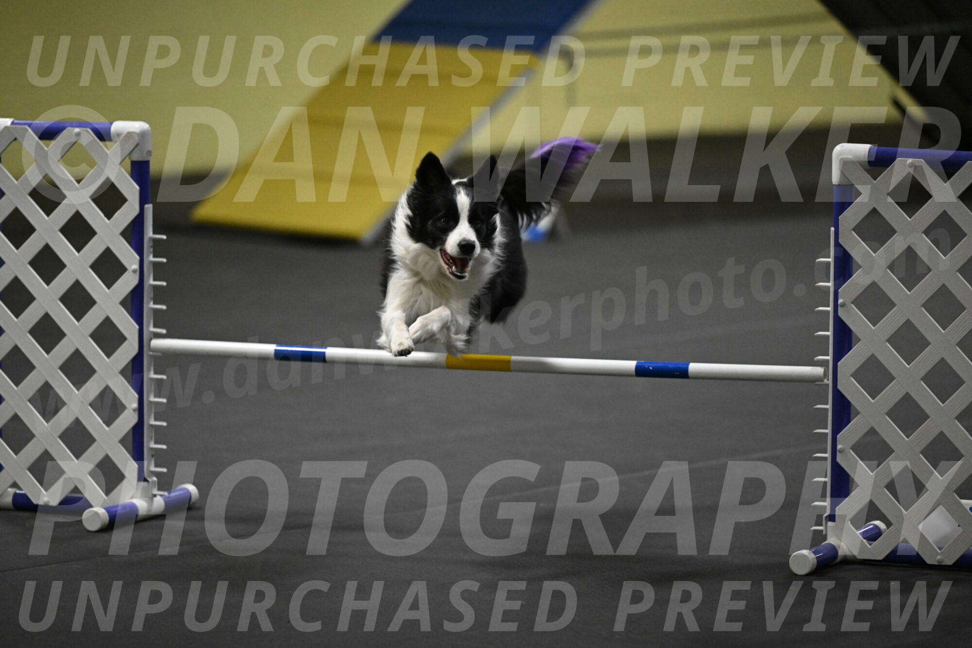 Annie-Solinger-02845