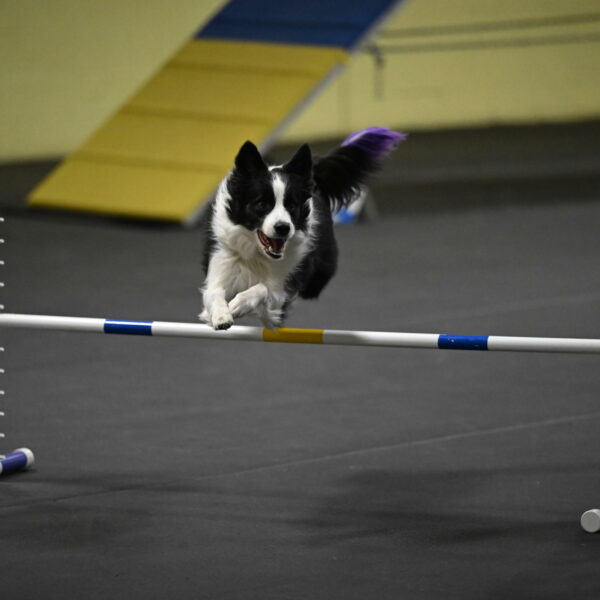 Annie-Solinger-02845