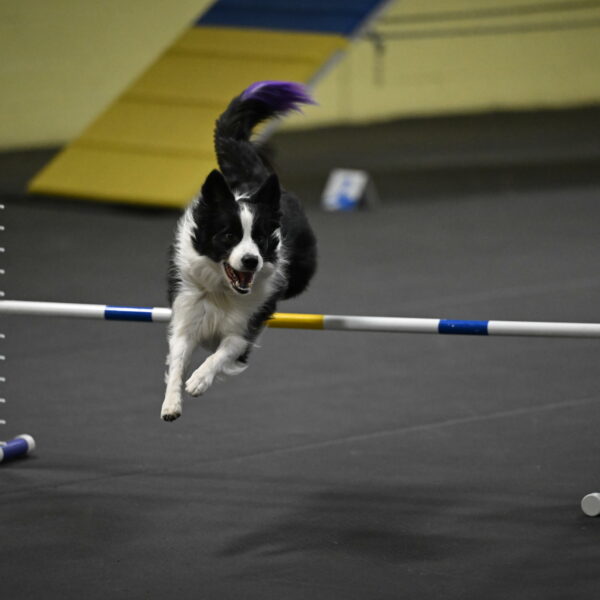 Annie-Solinger-02846