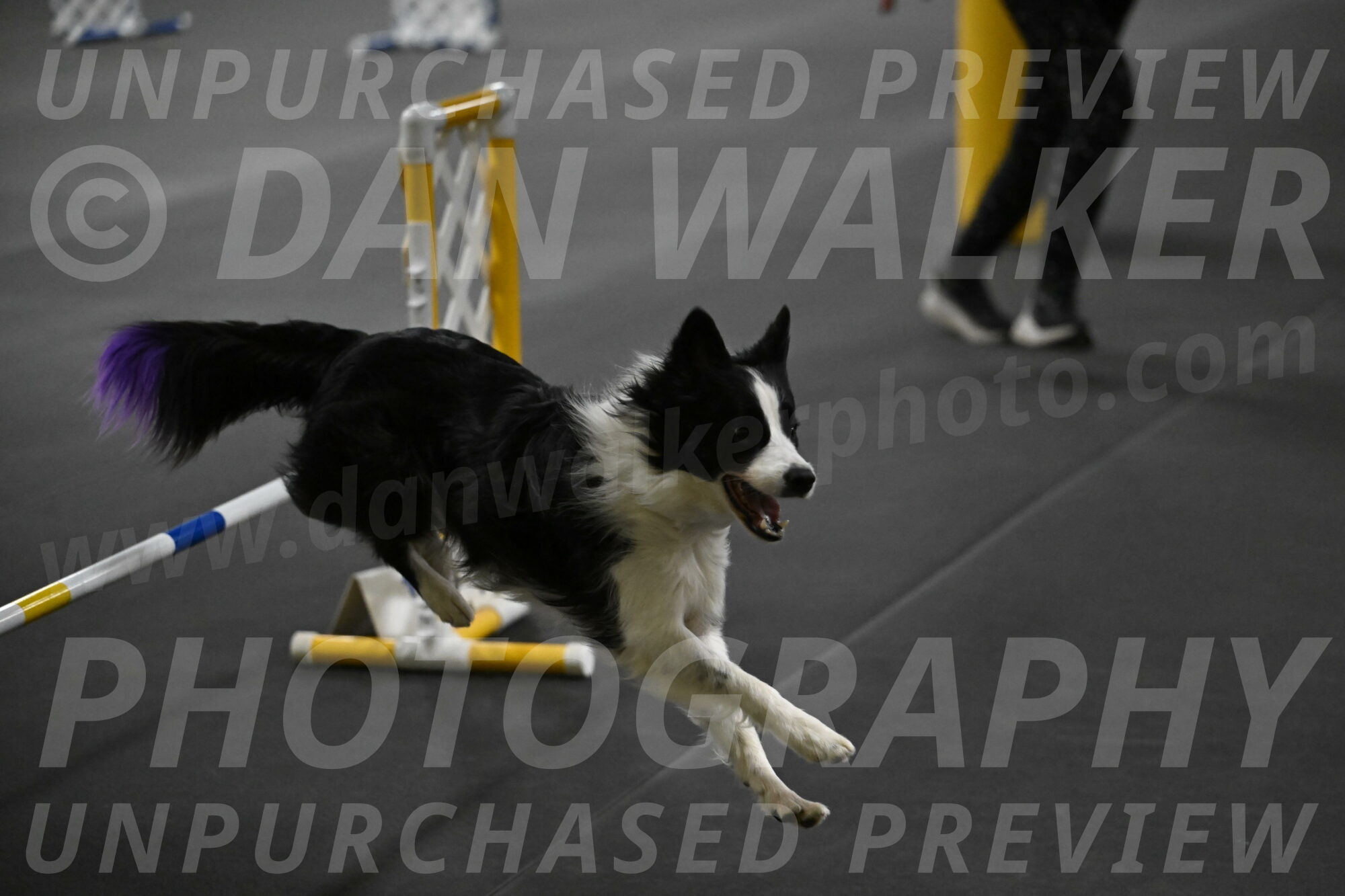 Annie-Solinger-02855