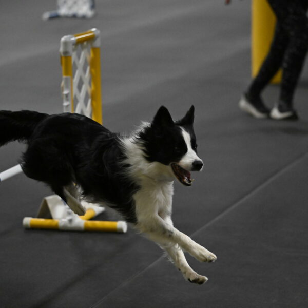 Annie-Solinger-02855