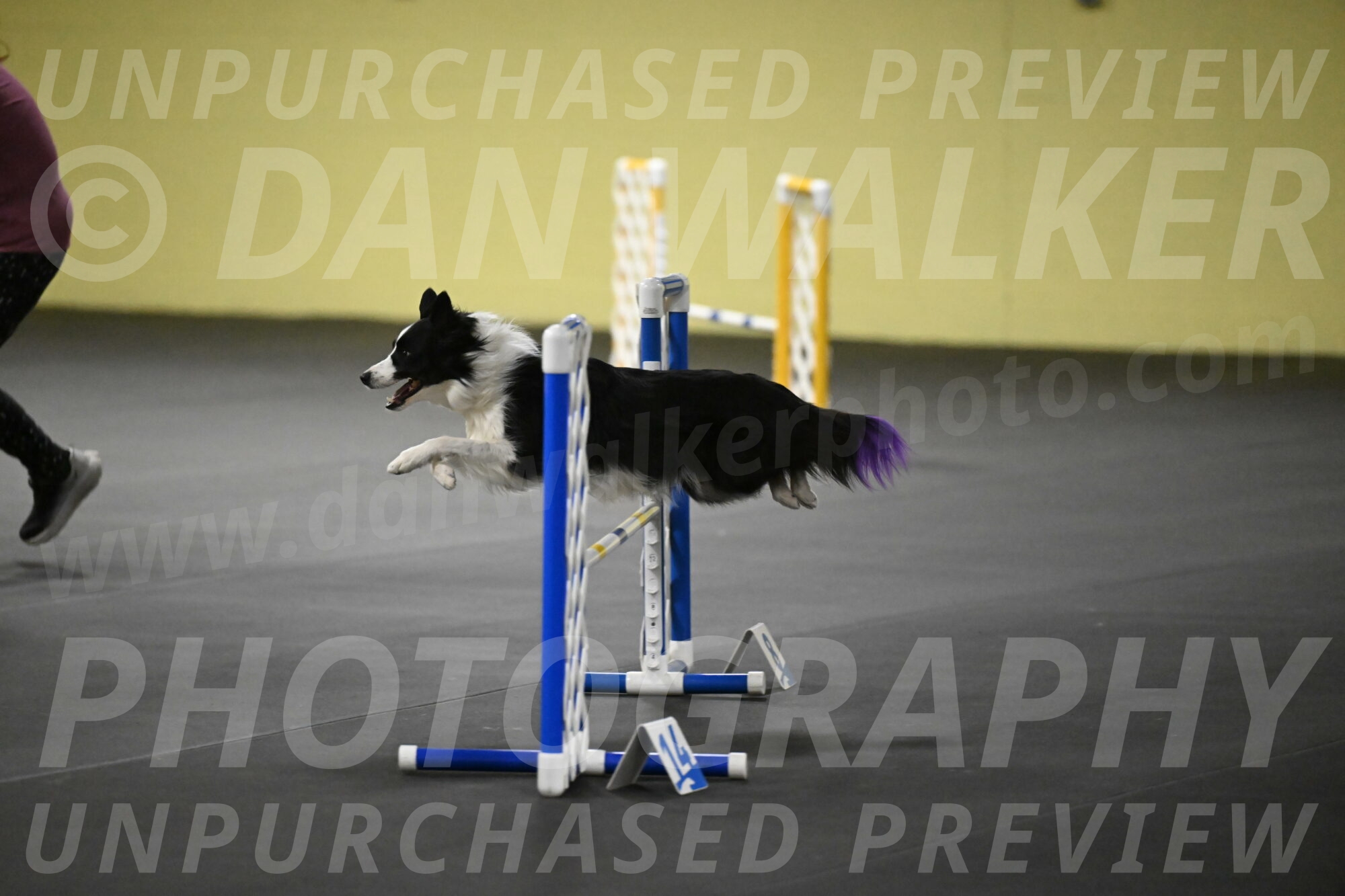 Annie-Solinger-02856