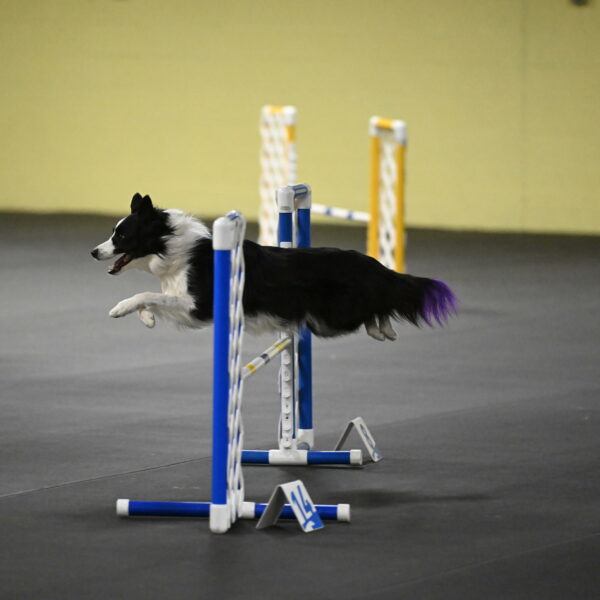 Annie-Solinger-02856