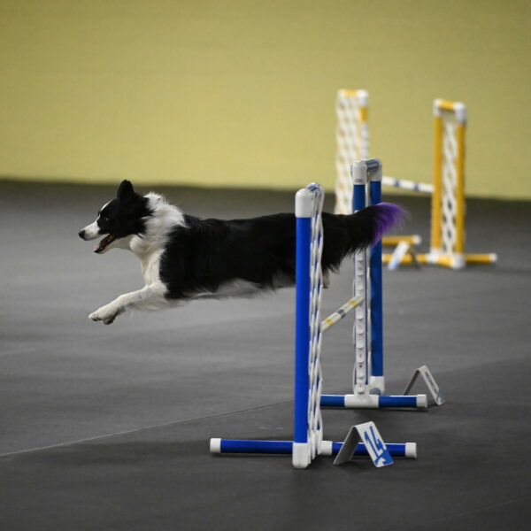 Annie-Solinger-02857