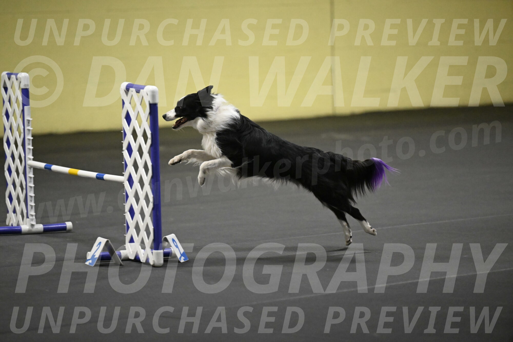 Annie-Solinger-02859