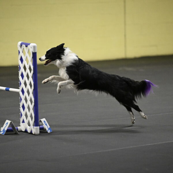 Annie-Solinger-02859