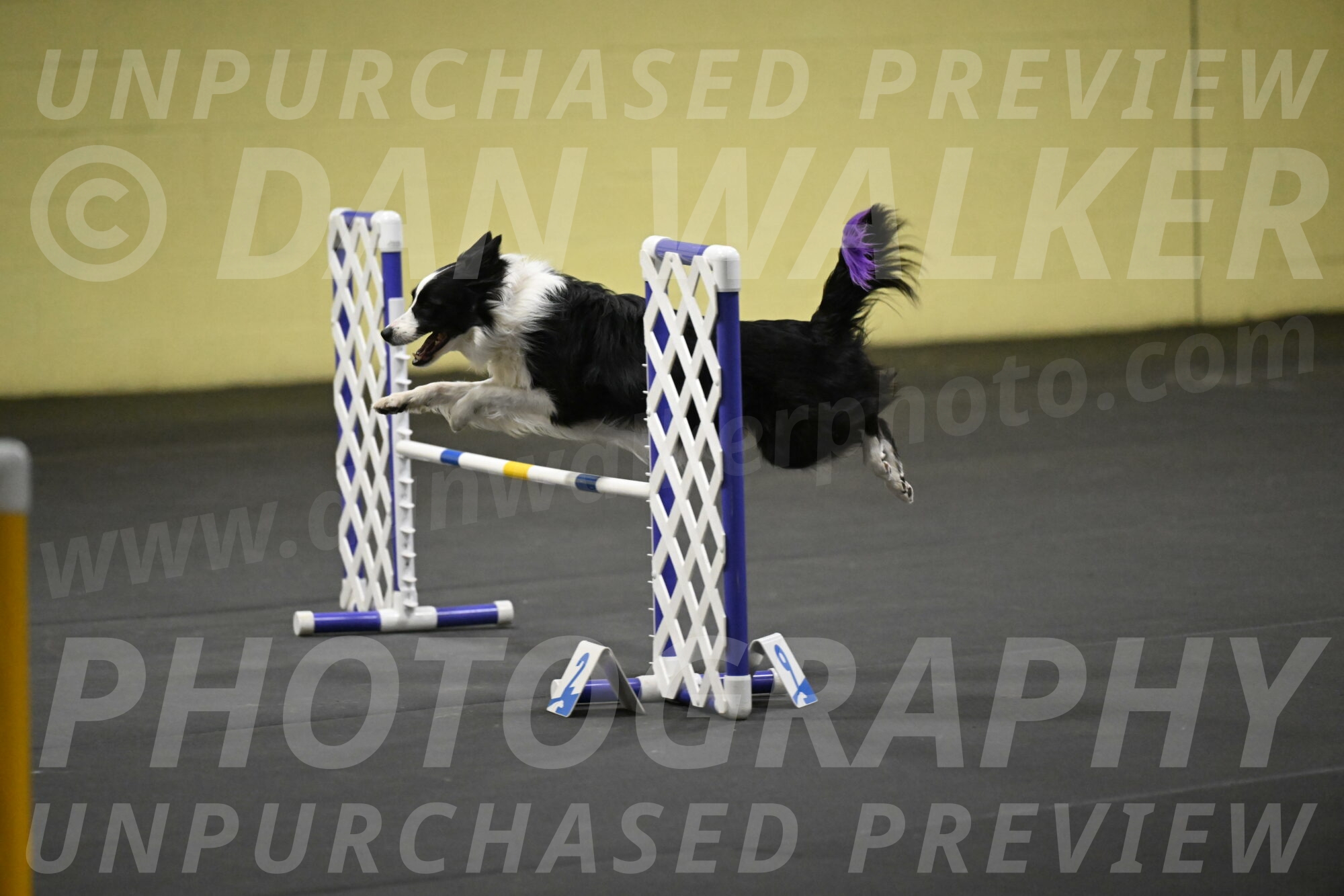 Annie-Solinger-02861