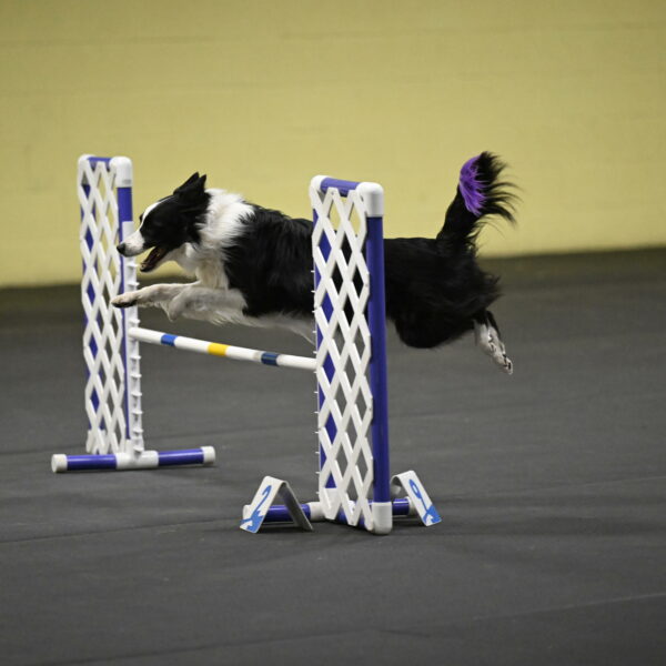 Annie-Solinger-02861