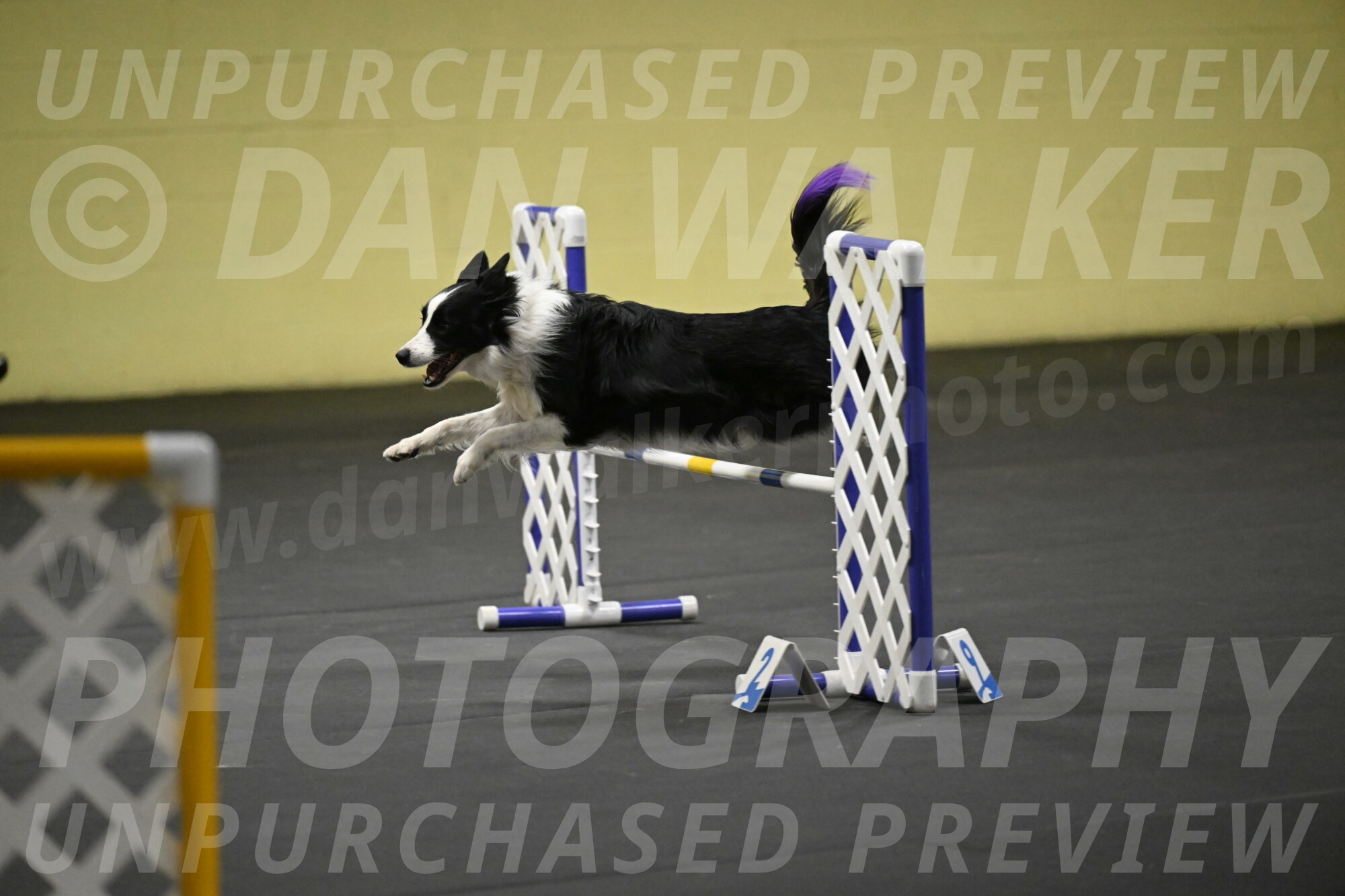 Annie-Solinger-02862