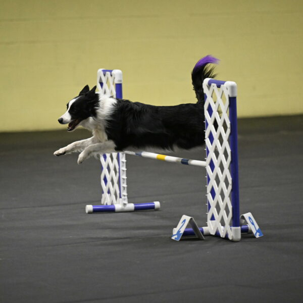 Annie-Solinger-02862