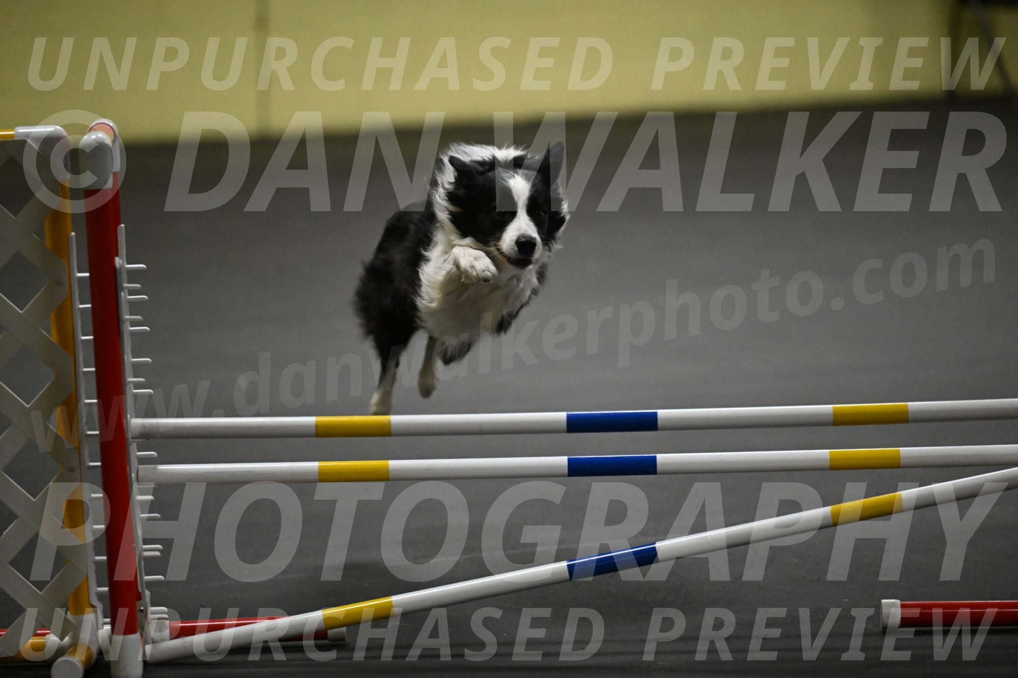 Annie-Solinger-02865