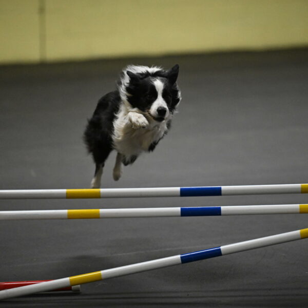 Annie-Solinger-02865