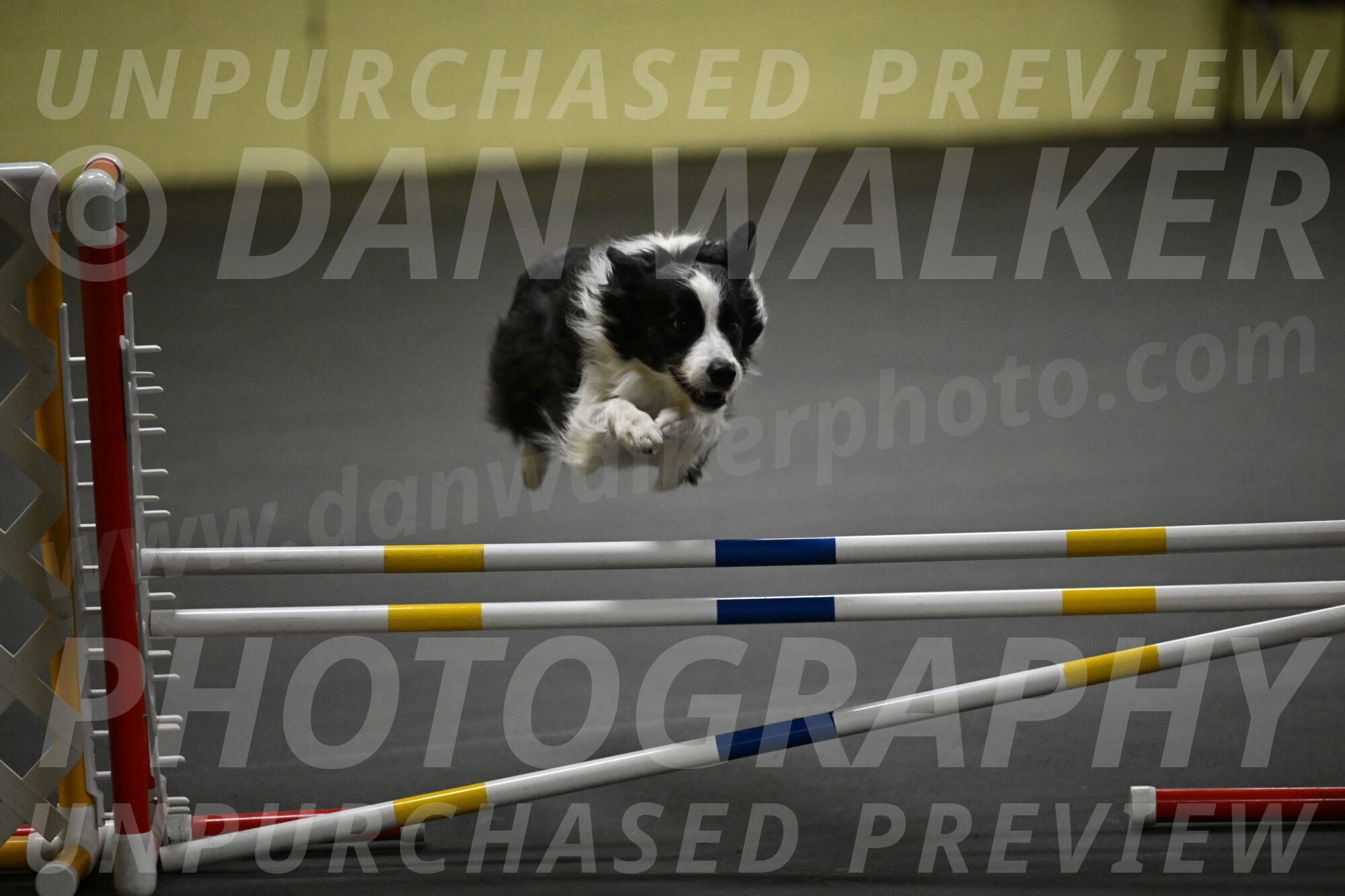 Annie-Solinger-02866