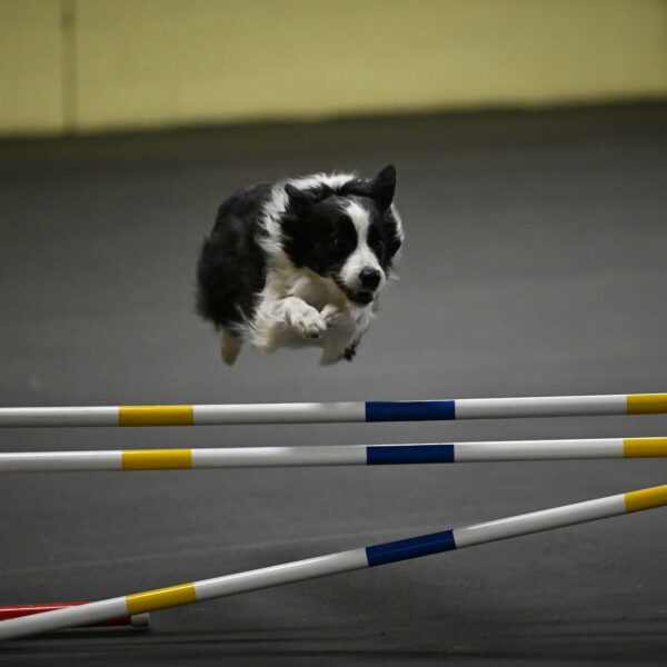 Annie-Solinger-02866