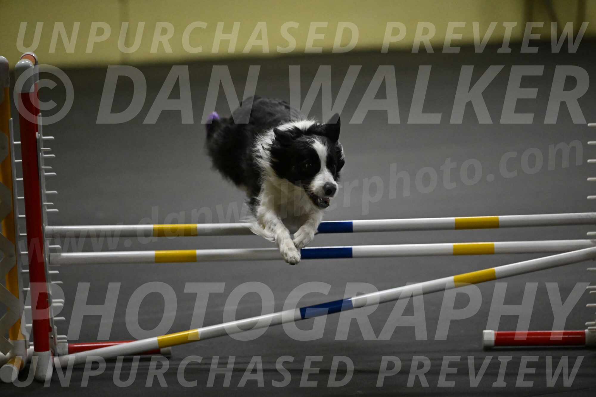 Annie-Solinger-02867