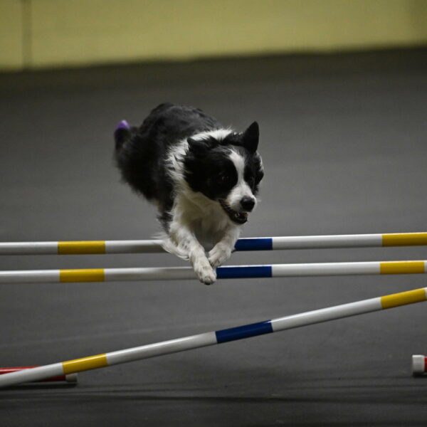 Annie-Solinger-02867