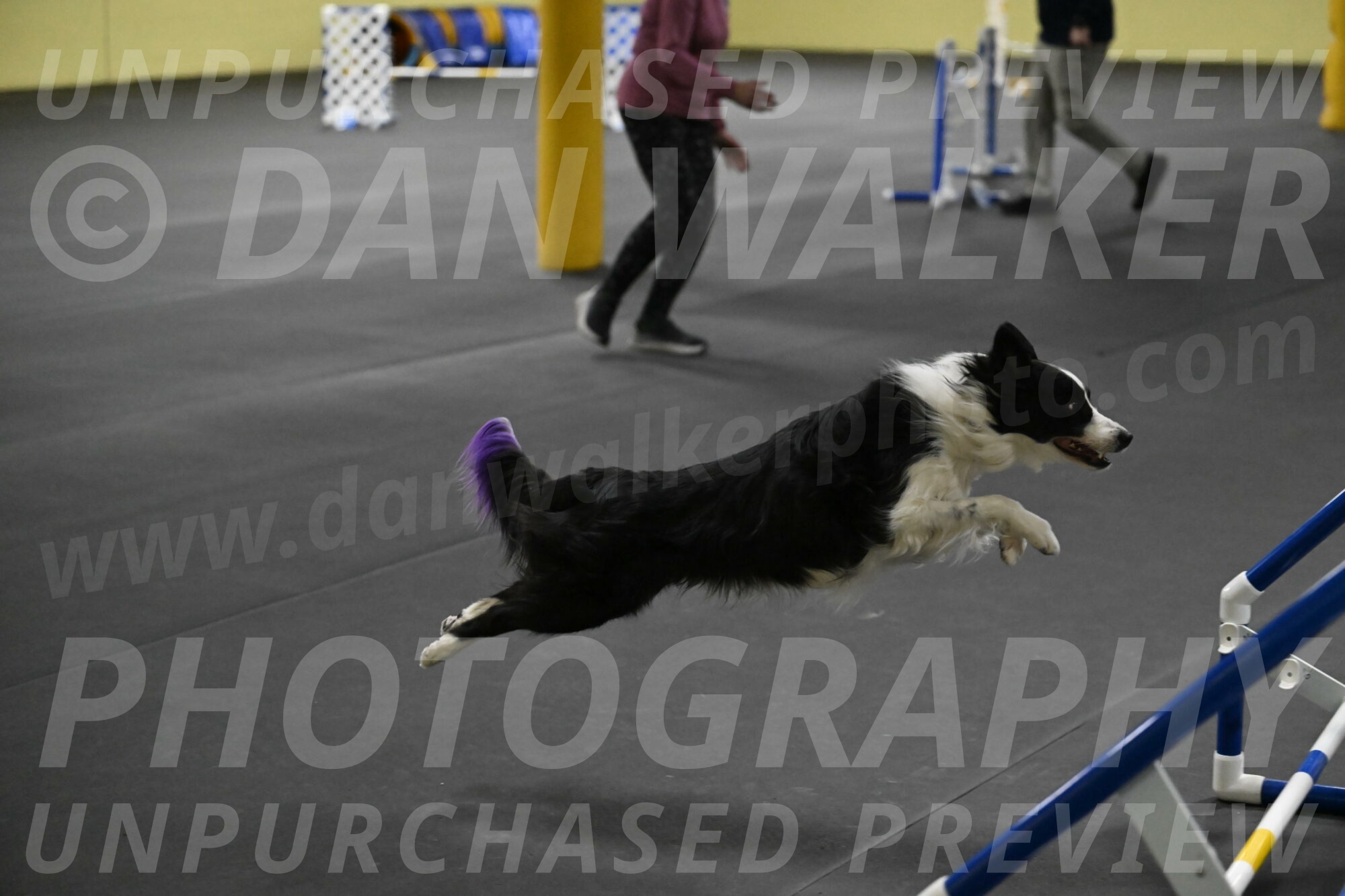 Annie-Solinger-02873