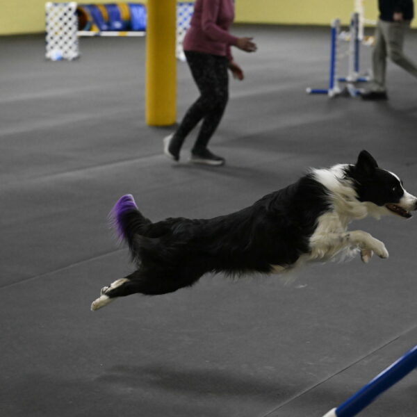 Annie-Solinger-02873