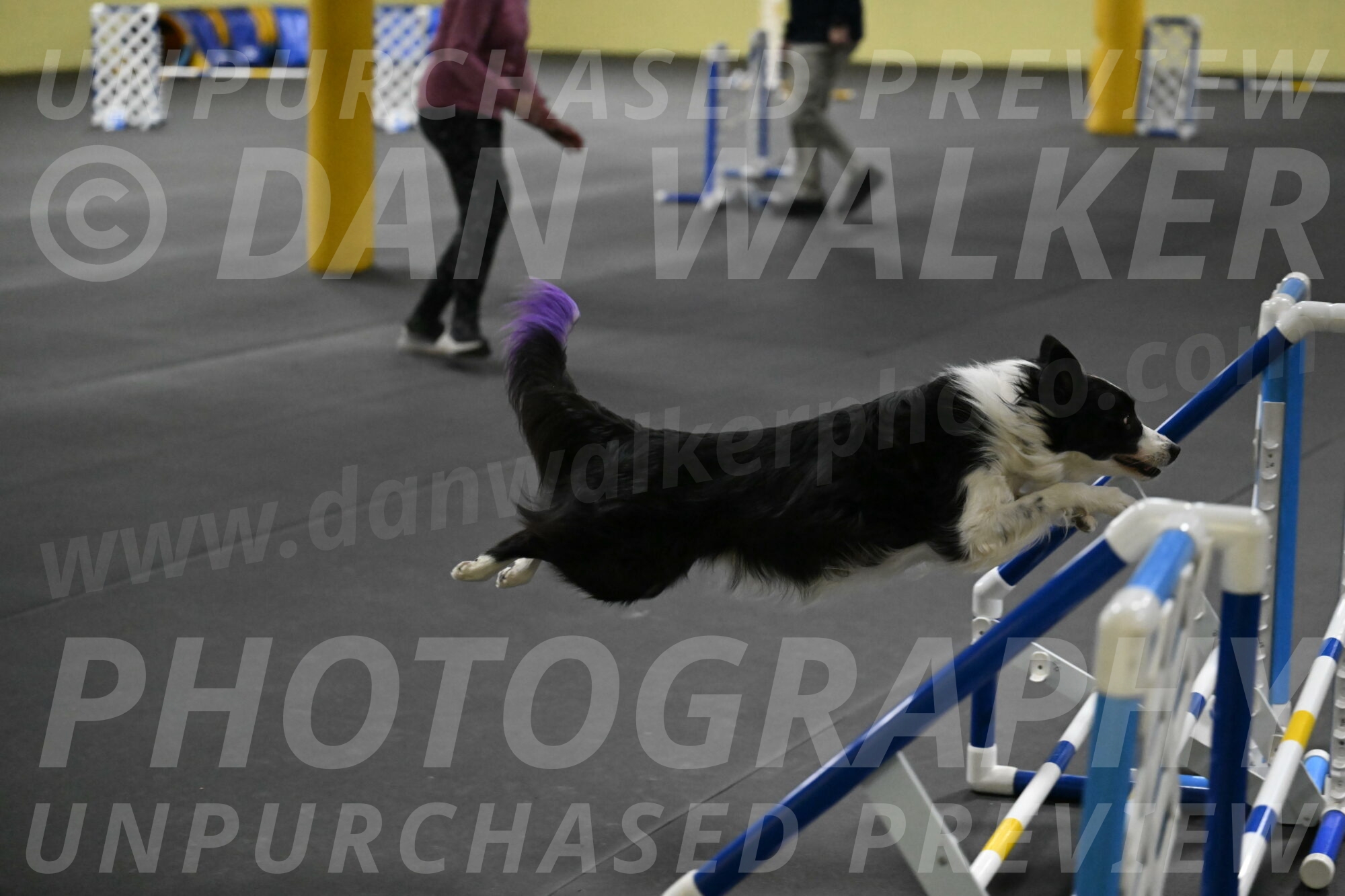 Annie-Solinger-02874