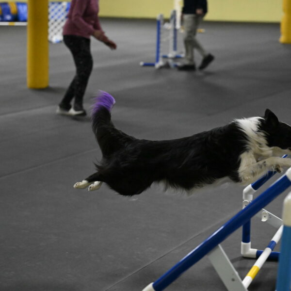 Annie-Solinger-02874