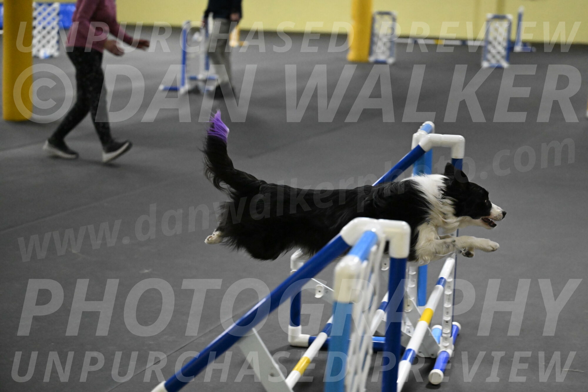 Annie-Solinger-02875