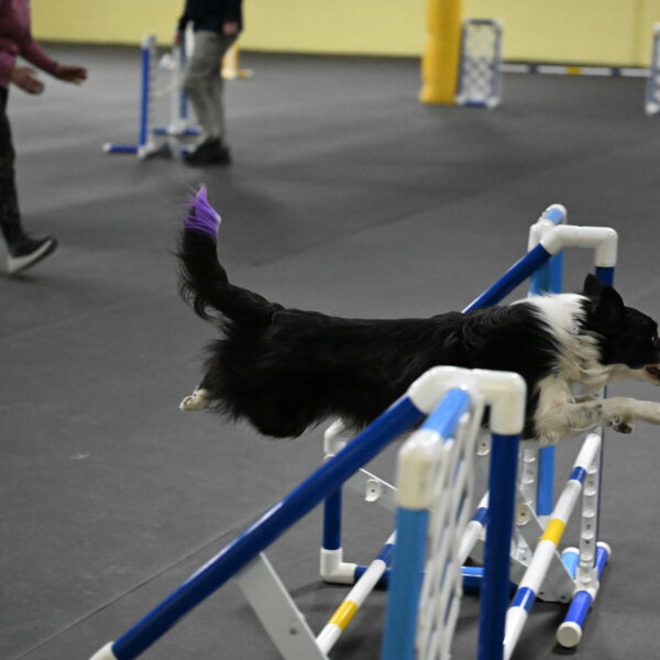 Annie-Solinger-02875