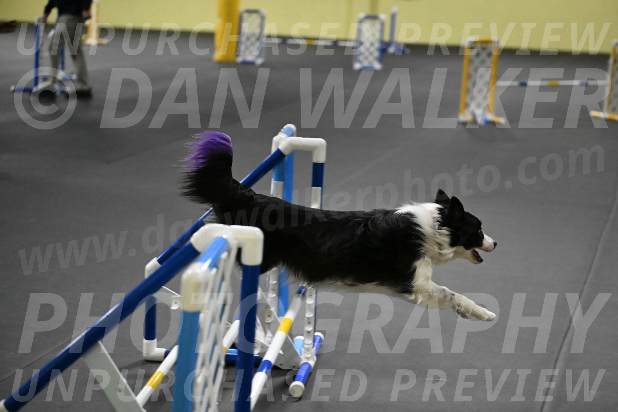 Annie-Solinger-02876