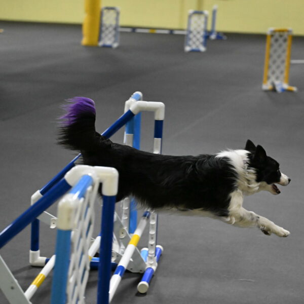 Annie-Solinger-02876