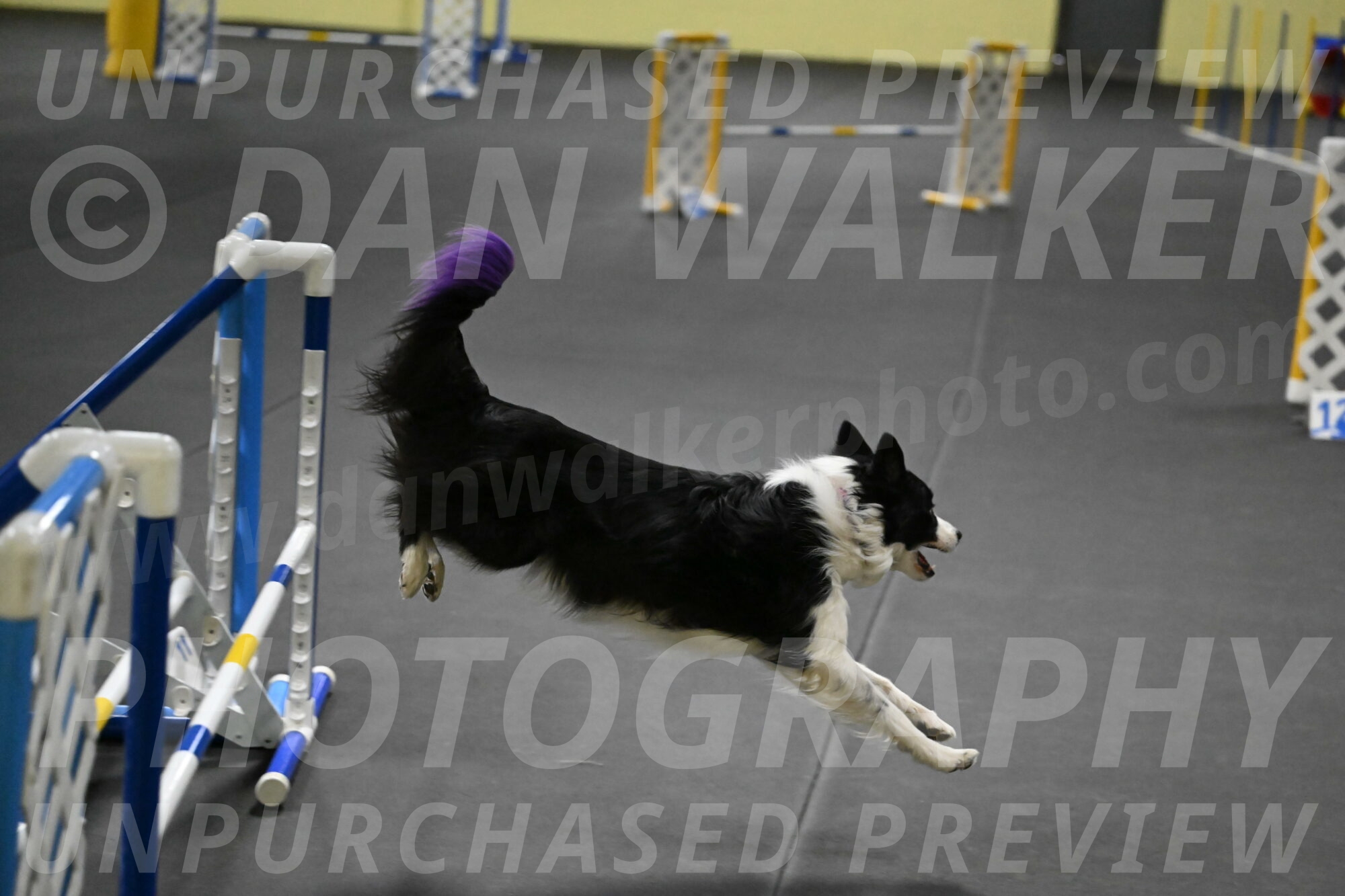 Annie-Solinger-02877