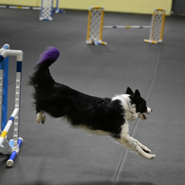 Annie-Solinger-02877